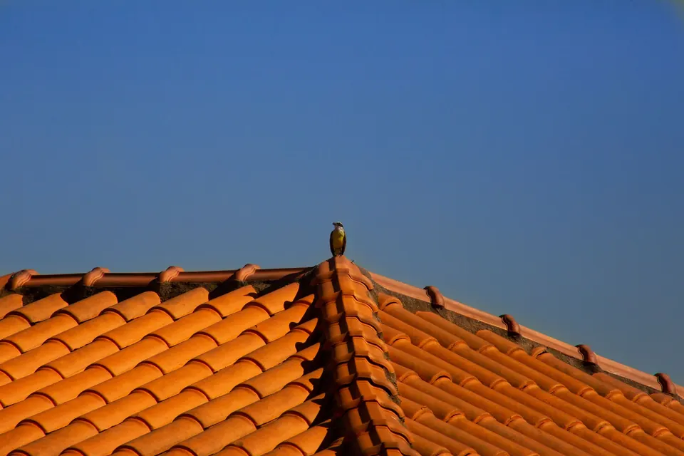 Versants de tuiles orangées et ligne d'arêtier sous un ciel bleu